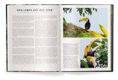 Jungle Spirits - Bilingual Edition