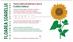 Trusa completa pentru a creste - Floarea soarelui