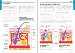 First Aid Manual 