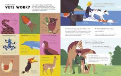 How to Be a Vet and Other Animal Jobs