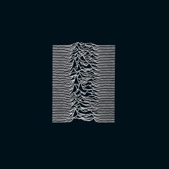 Unknown Pleasures - Vinyl