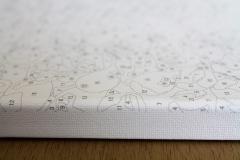 Set pictura pe numere - The Colorful Lion, 50x65 cm