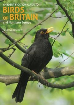 Coperta cărții Identification Guide to Birds of Britain and Northern Europe (2nd edition)