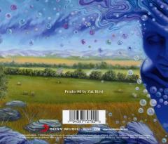 The Absence Of Presence