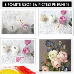 Set pictura pe numere - Simfonia bujorilor