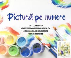 Kit pictura pe numere - Prospetime
