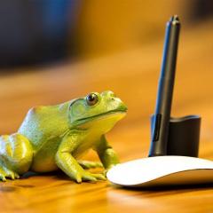 Figurina - American Bullfrog