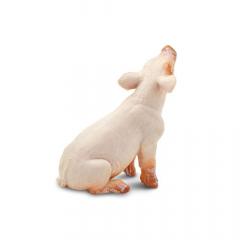 Figurina - Sitting Piglet