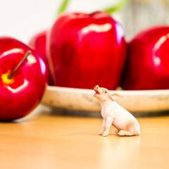 Figurina - Sitting Piglet