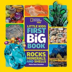 Coperta cărții Little Kids First Big Book of Rocks, Minerals and Shells
