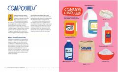 The Illustrated Encyclopedia of the Elements