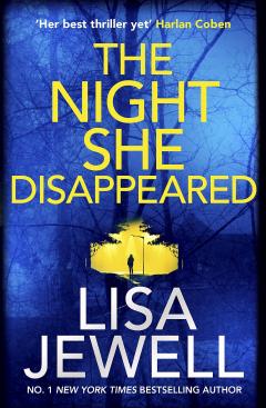 the night she disappeared lisa