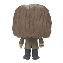 Figurina - Pop! Harry Potter - Sirius Black 