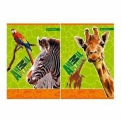 Caiet A5 16 file - Animal Planet (mai multe modele)