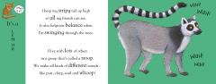 Axel Scheffler's Flip Flap Zoo