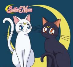 Rucsac - Sailor Moon - "Luna & Artemis" (ABYBAG324)