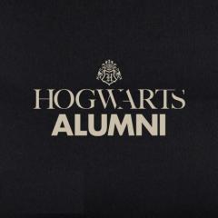 Rucsac XXL - Harry Potter "Hogwarts" (ABYBAG445)