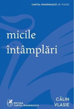 Micile intamplari