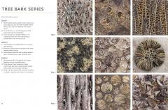 Textures from Nature in Textile Art