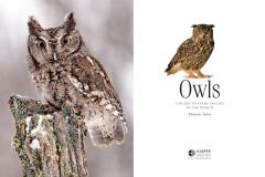 Owls: A Guide to Every Species in the World