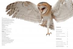 Owls: A Guide to Every Species in the World
