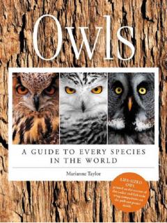 Owls: A Guide to Every Species in the World