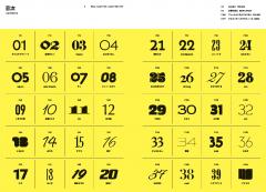 Fashion Illustration