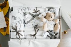 Set cadou bebelusi - Premium Star, 6-9 luni