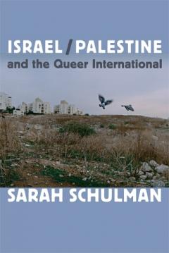 Coperta cărții Israel/Palestine and the Queer International