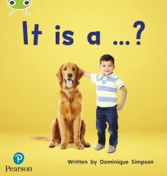 Coperta cărții Bug Club Phonics Non-Fiction Early Years and Reception Phase 2 Unit 3 It is a ...?