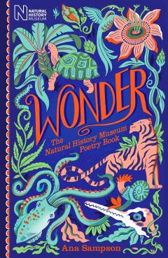 Coperta cărții Wonder