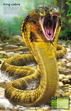 Build Your Own Deadly Animals