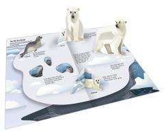 Ultimate Spotlight - Polar Animals