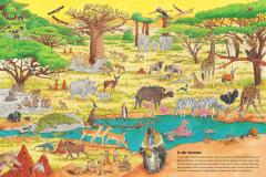 Duden 24+: Igel, Frosch & Elefant