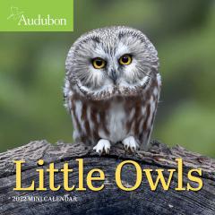 Calendar 2022 - Little Owls