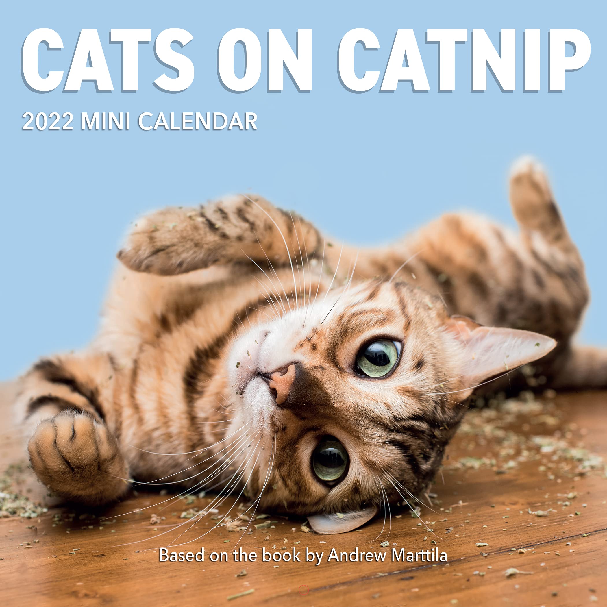 Calendar 2022 Cats on Catnip Workman Publishing
