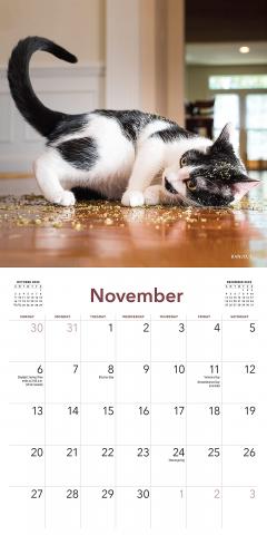 Calendar 2022 - Cats on Catnip