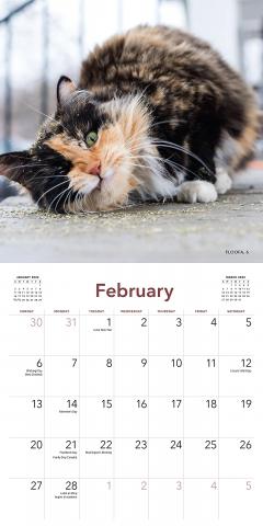 Calendar 2022 - Cats on Catnip