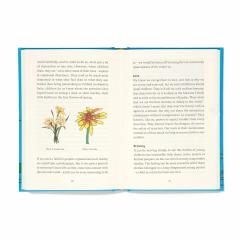 The Good Enough Parent