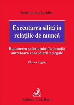 Executarea silita in relatiile de munca