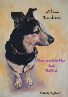 Povestirile lui Tabu