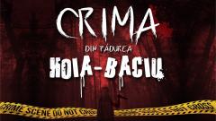 Joc - Crima din Padurea Hoia-Baciu - Joc de Investigare