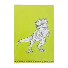 Set pictura - Picteaza cu apa: Dinozauri