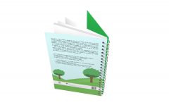 Povestile Elefantului Mic