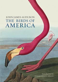 Coperta cărții Birds of America