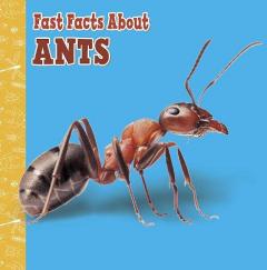 Coperta cărții Fast Facts About Ants