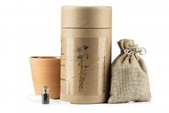 Kit Plantare In decorativ