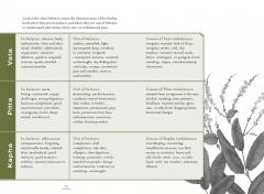 Ayurveda (Mandala Wisdom)