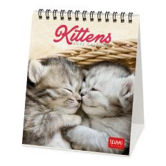 Calendar 2022 - Kittens, 12x14.5 cm