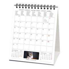 Calendar 2022 - Cats